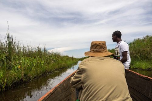 where to go bird watching in Uganda