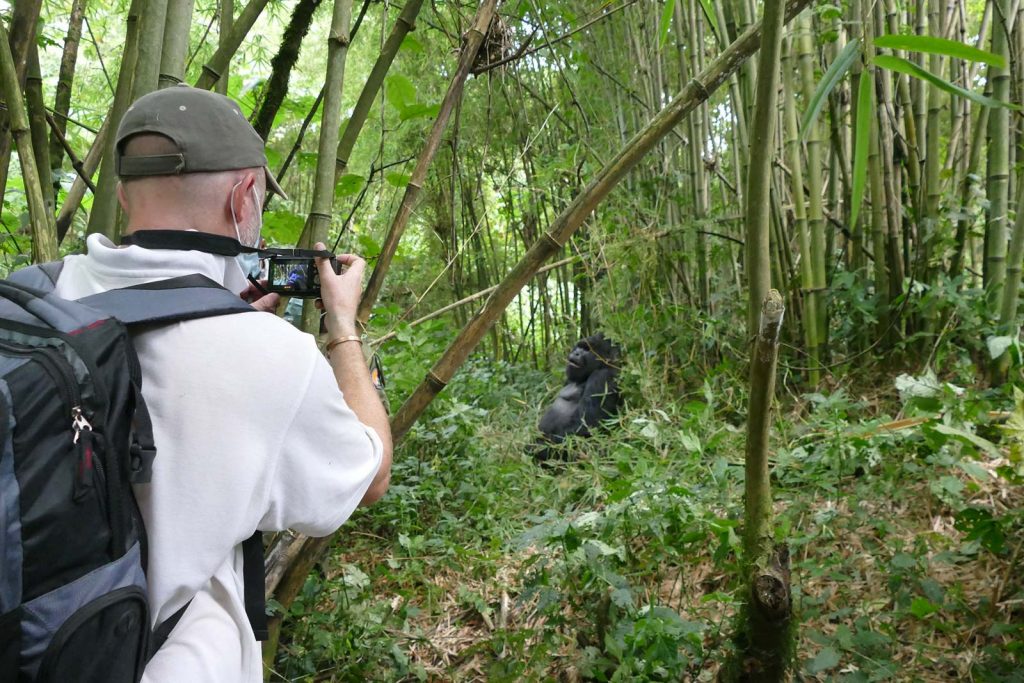 Uganda Wildlife Safari & Gorilla Tour