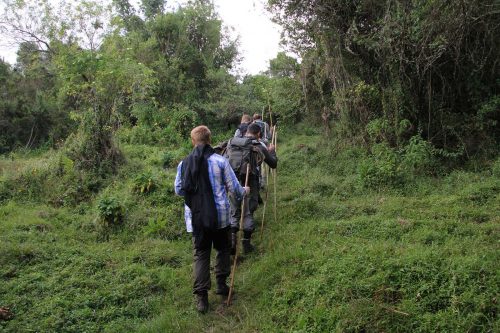 Gorilla tracking rules nature walks