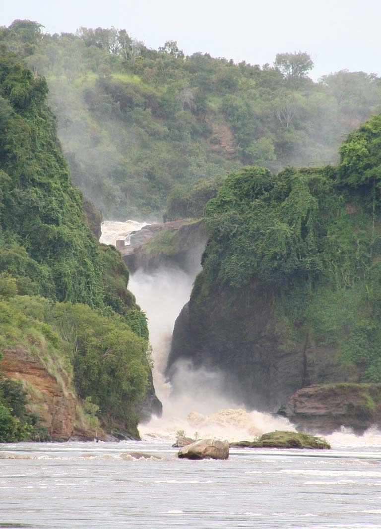 Wildlife Viewing Boat Safaris