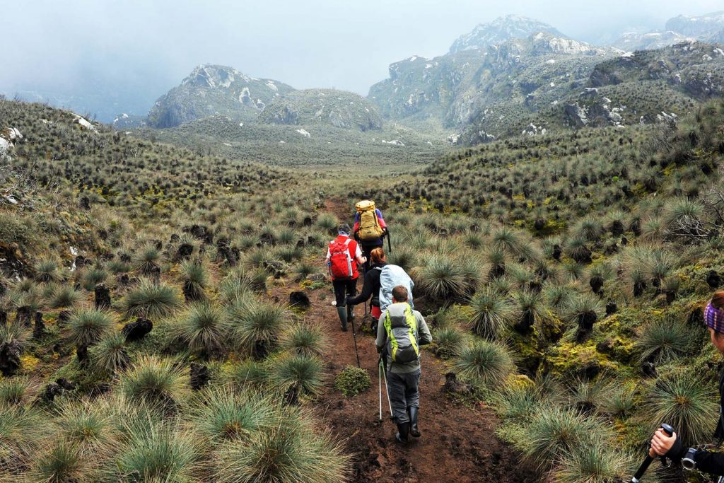 Rwenzori Mountains National Park