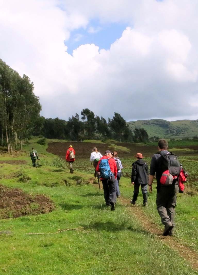 Mountain Gorilla Trekking in Uganda & Rwanda