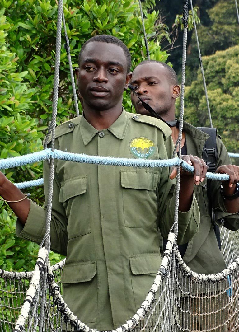 Chimpanzee Tracking